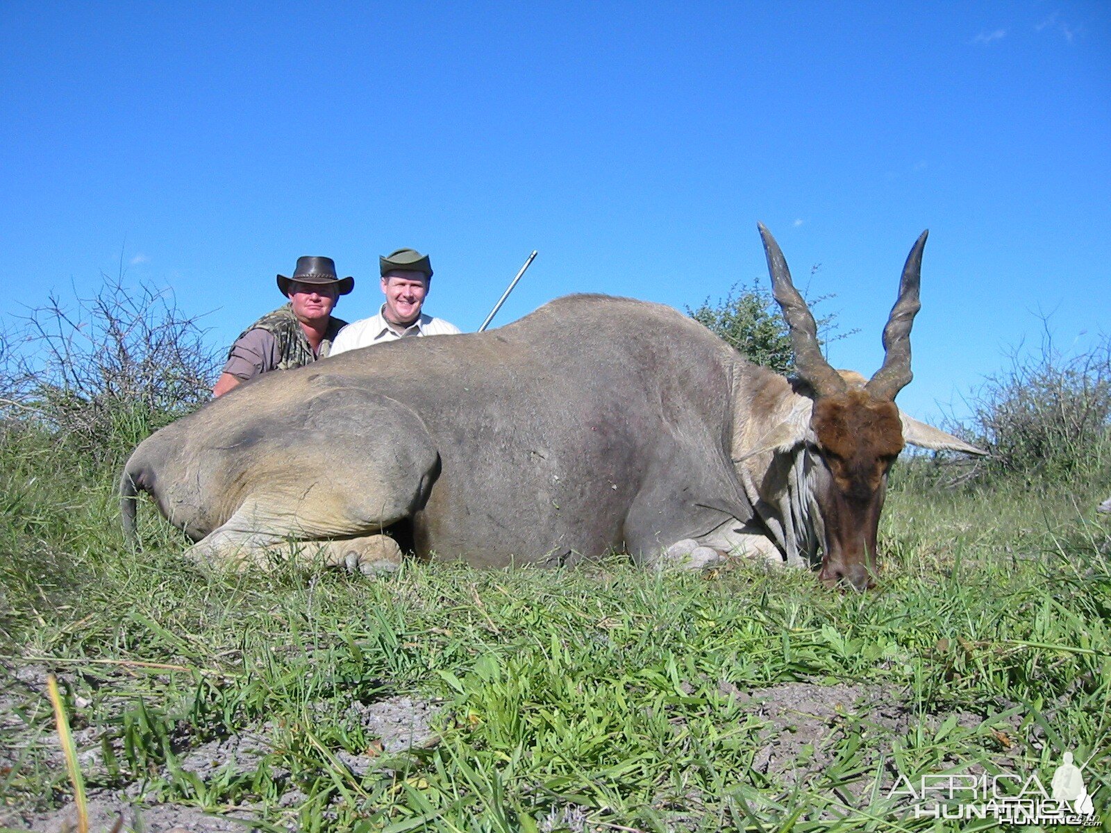 My Eland...thanks again Jerome!