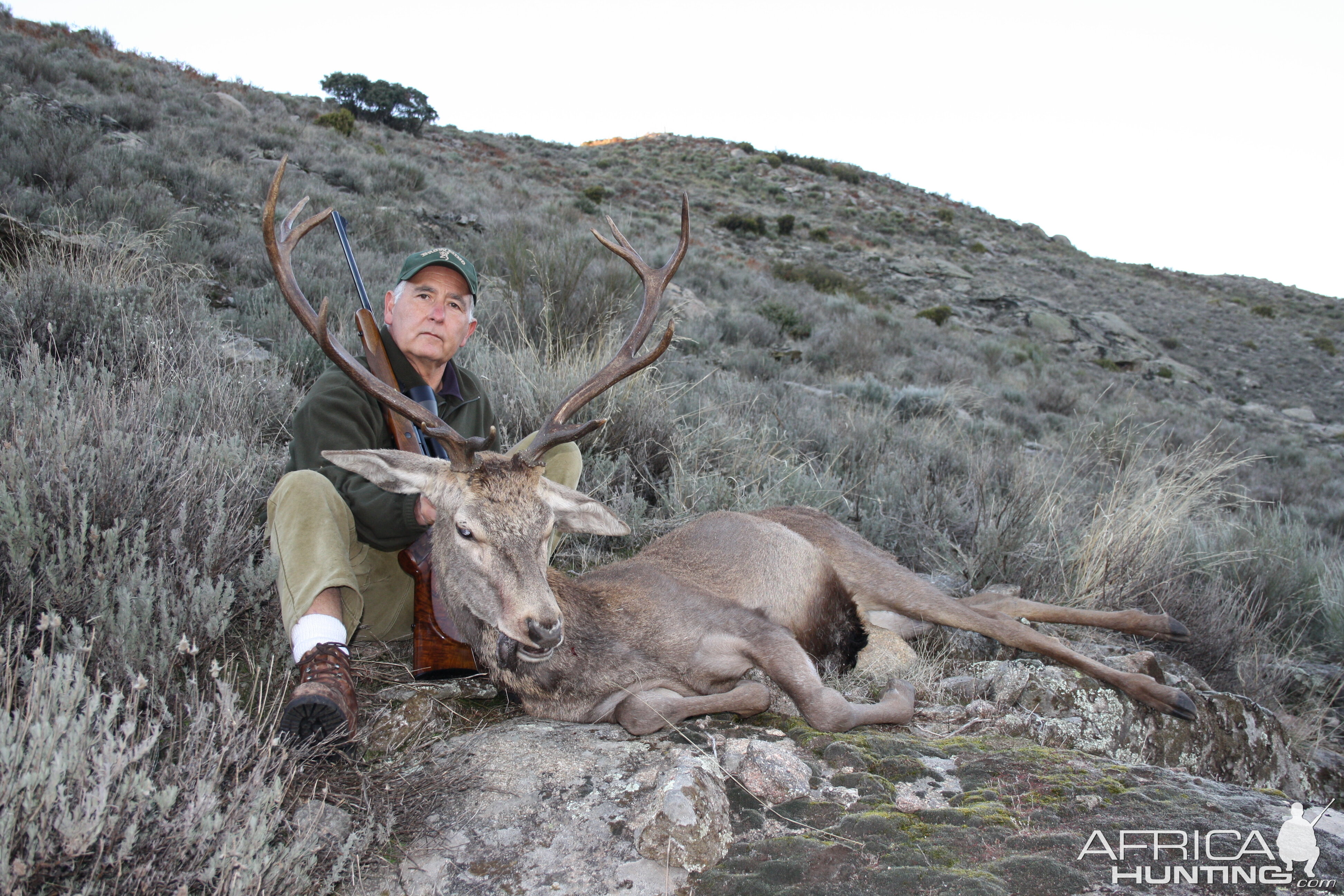 My Father and Red Deer from Spain