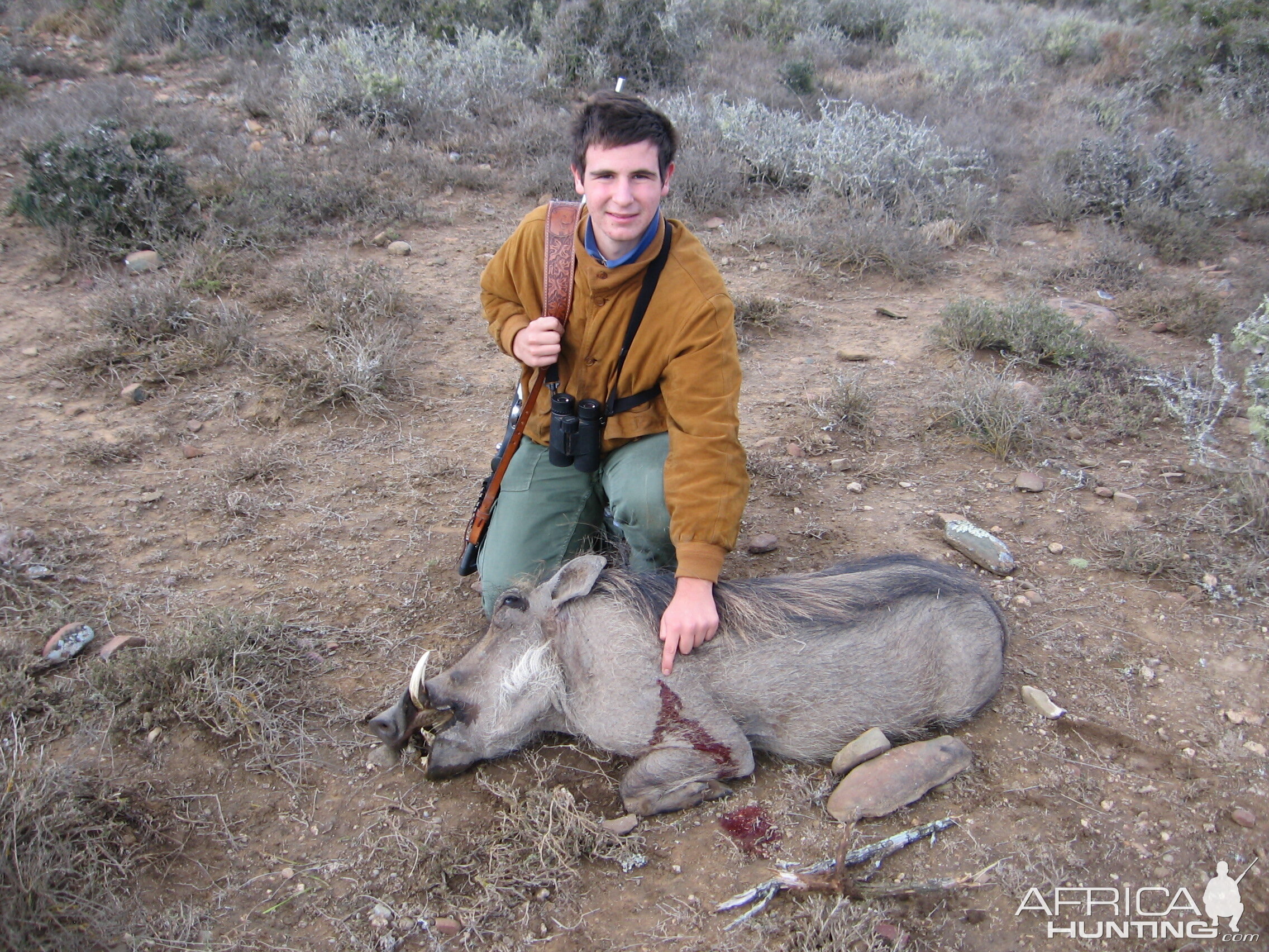 My First African Animal Warthog Eastern Cape