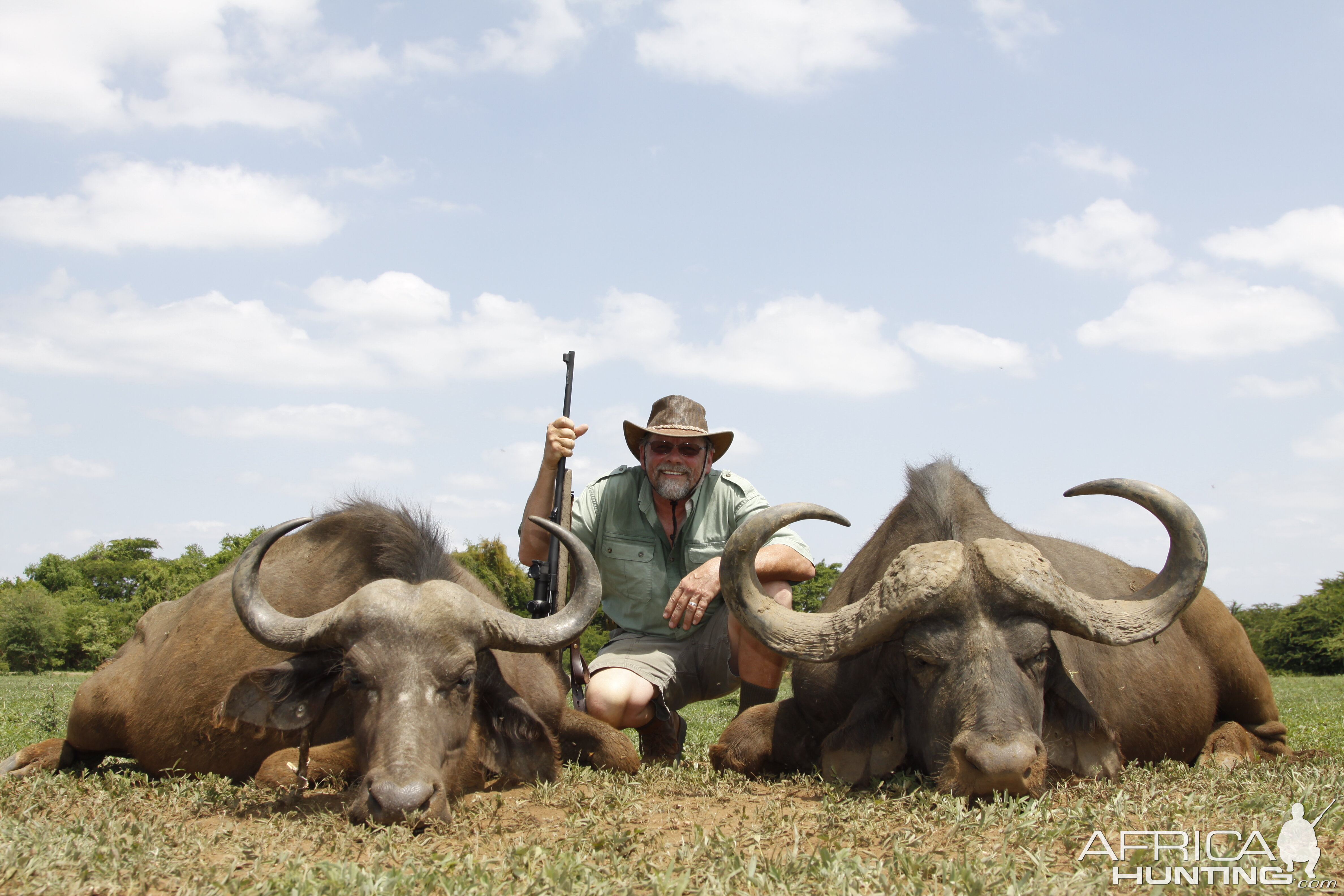 My first Cape Buffalo(s)