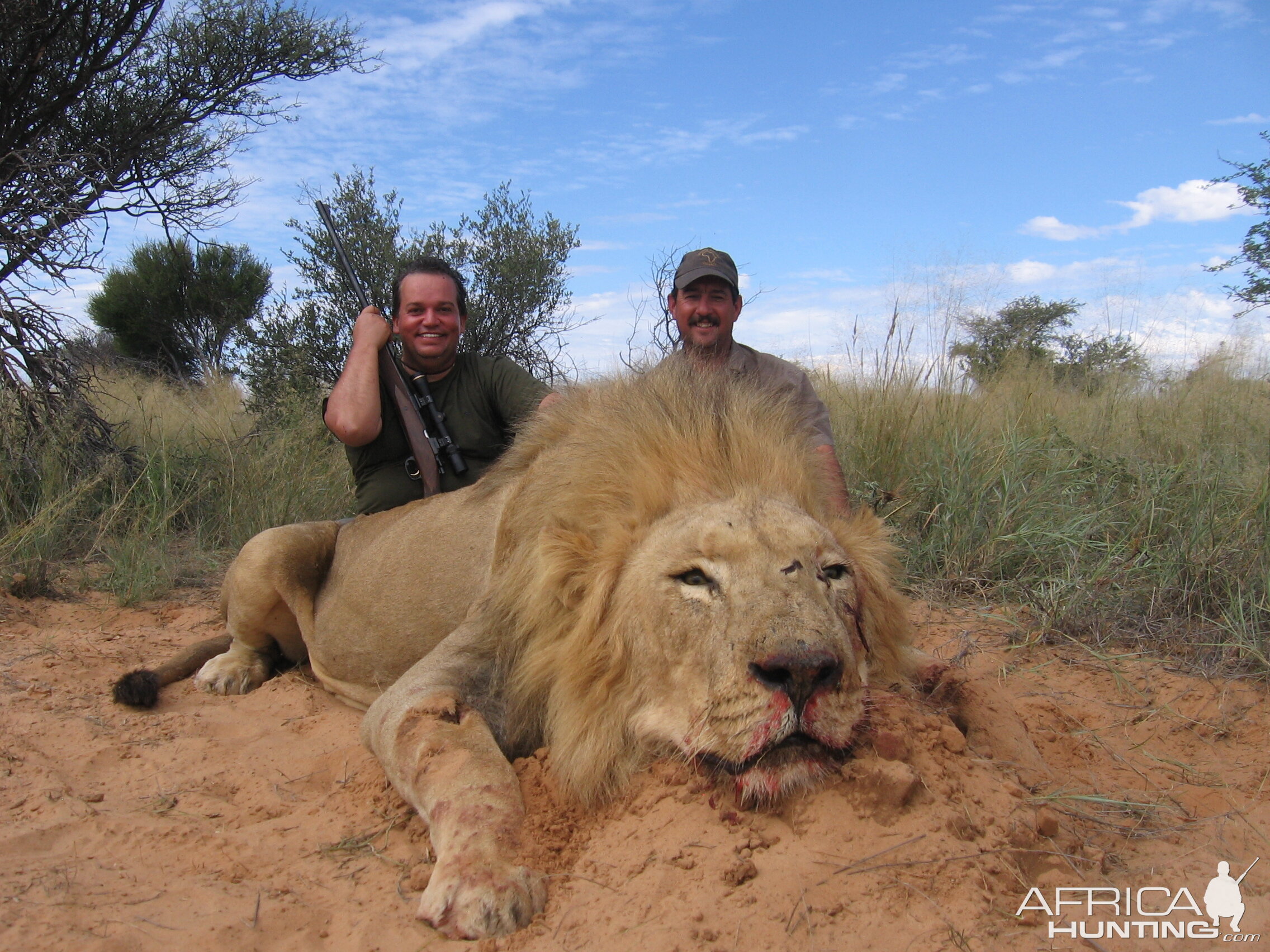 My first Lion - South Africa