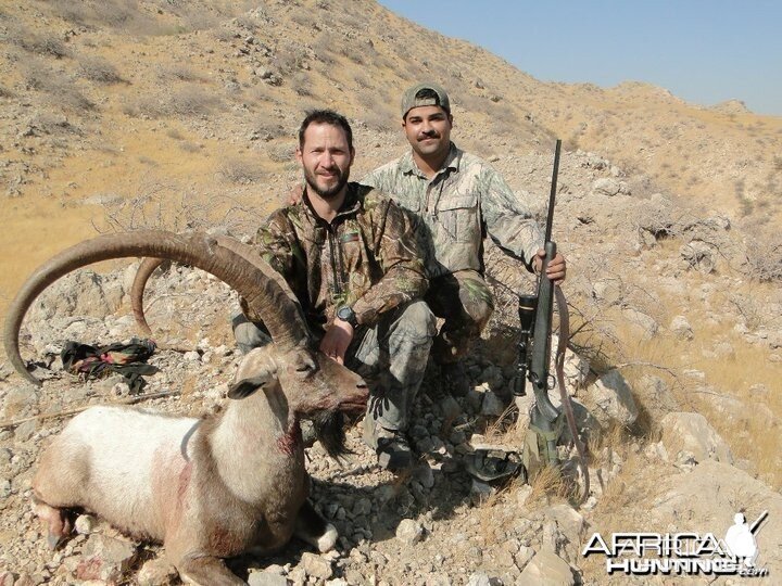 my friend Roy's Sindh Ibex taken with me in Sindh-Pakistan