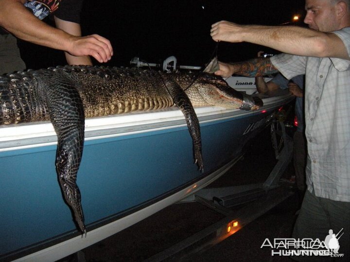 My gator fishing excursion in Louisiana