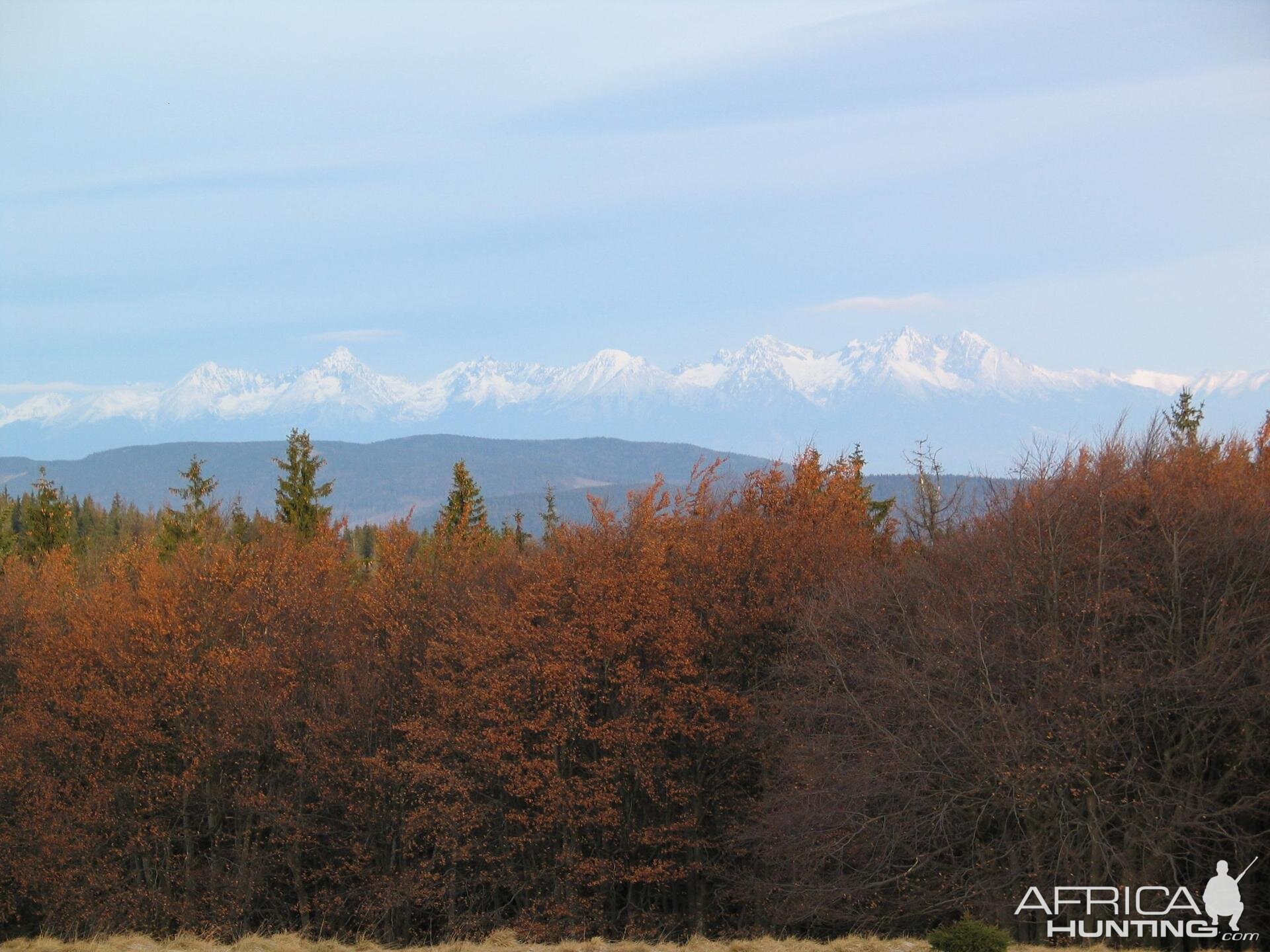 My hunting views from Slovakia