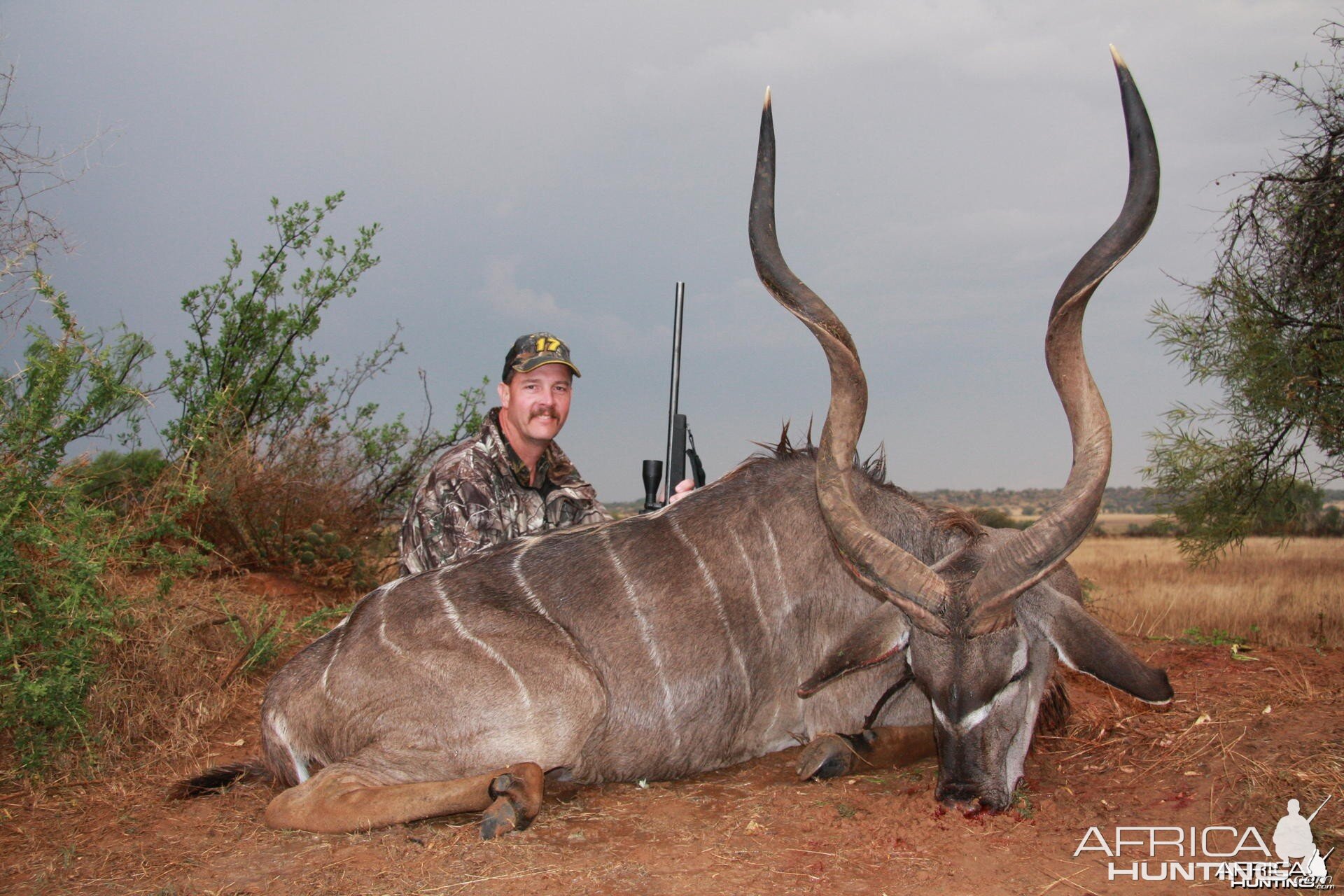 My Kudu in the rain... South Africa