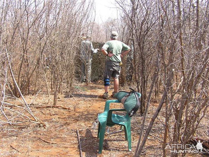 My Leopard Hunt with Motsomi Safaris in South Africa