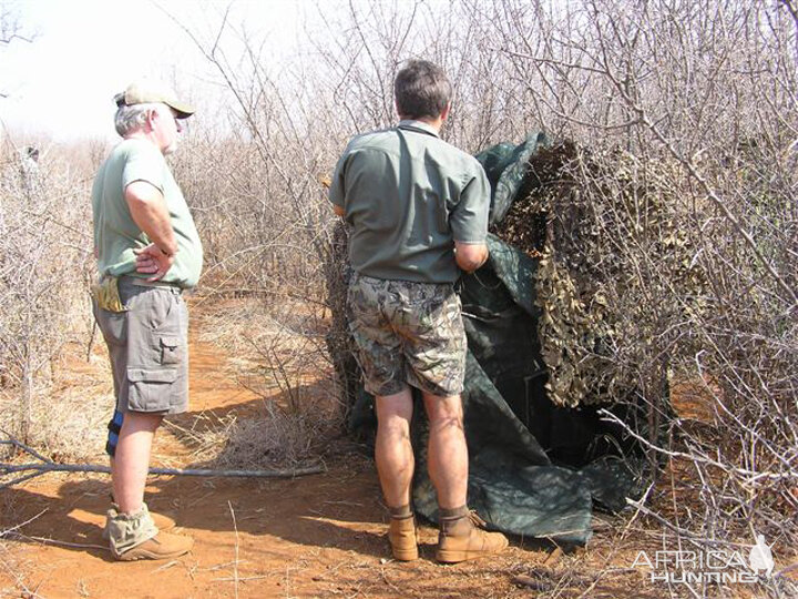 My Leopard Hunt with Motsomi Safaris in South Africa