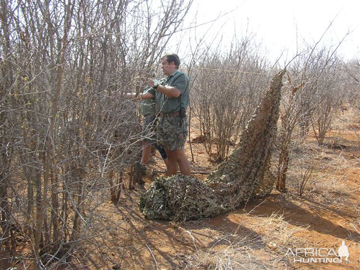 My Leopard Hunt with Motsomi Safaris in South Africa