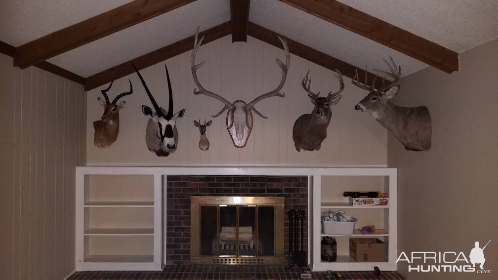 My Little Trophy Room