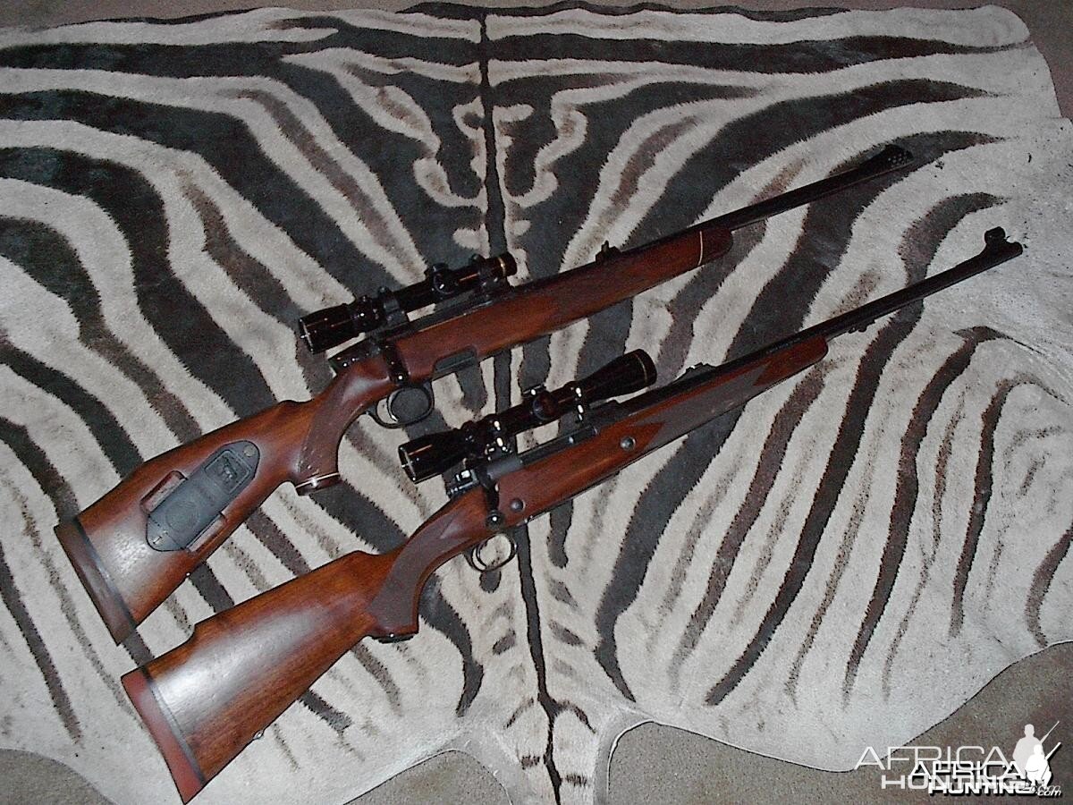 My Safari Rifles