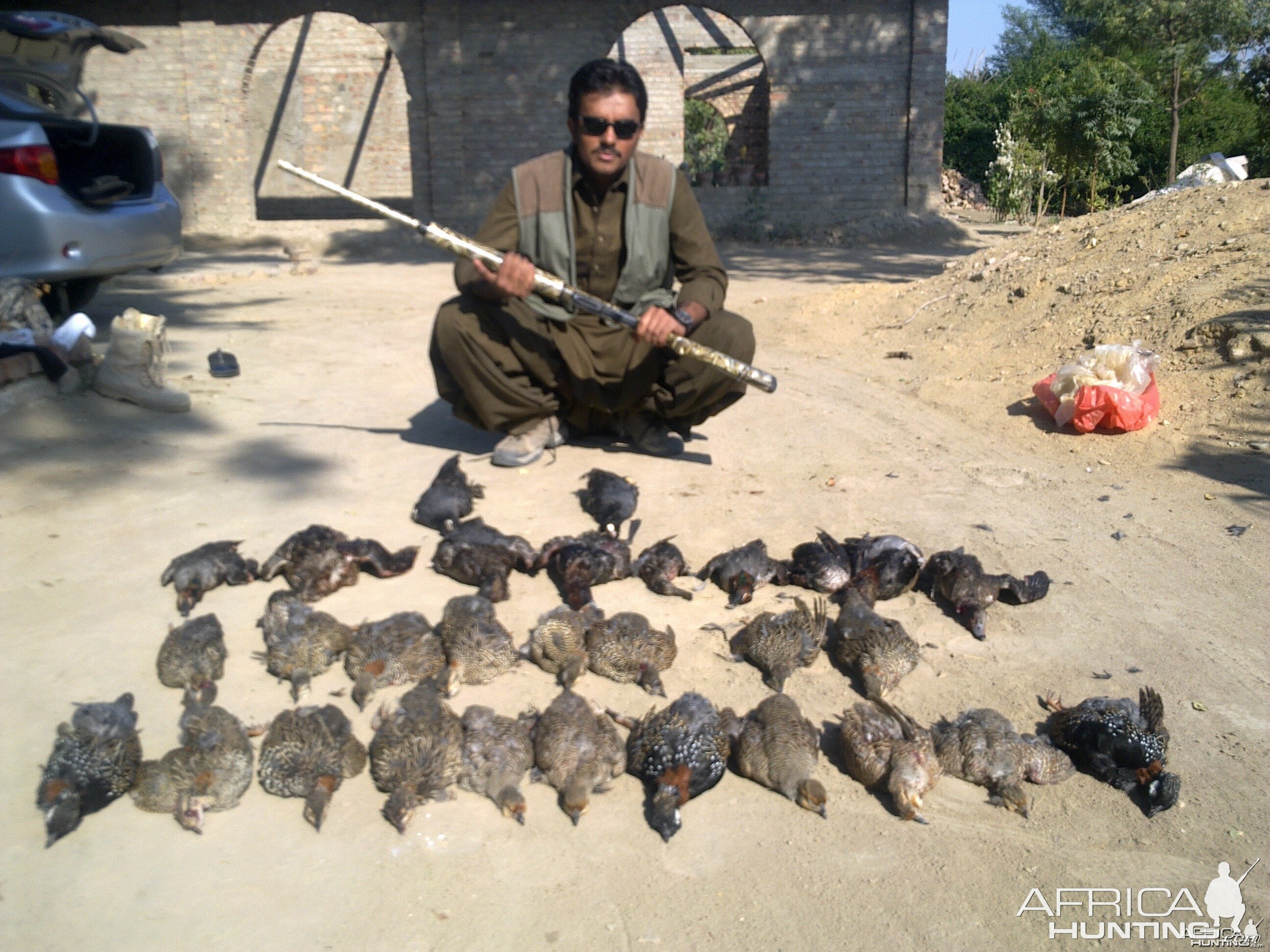 My son with partridges & ducks