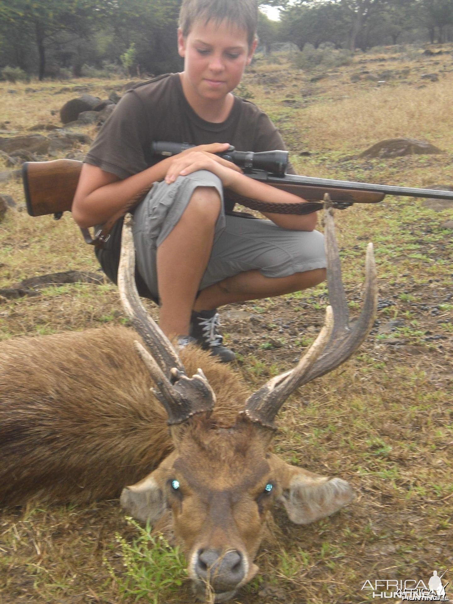 My son's atypical Rusa Deer which is what he was looking for