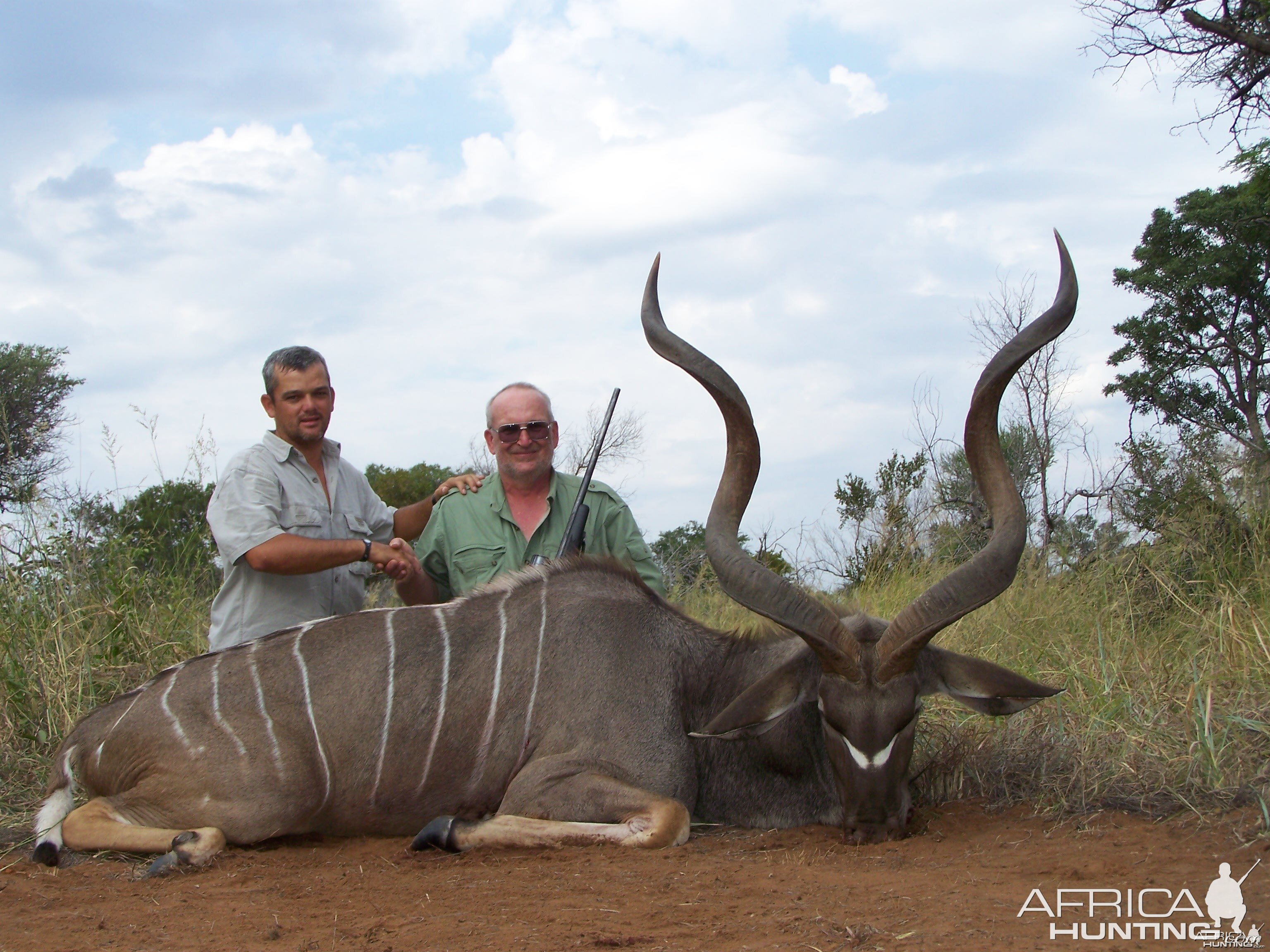 My South African Kudu  54"