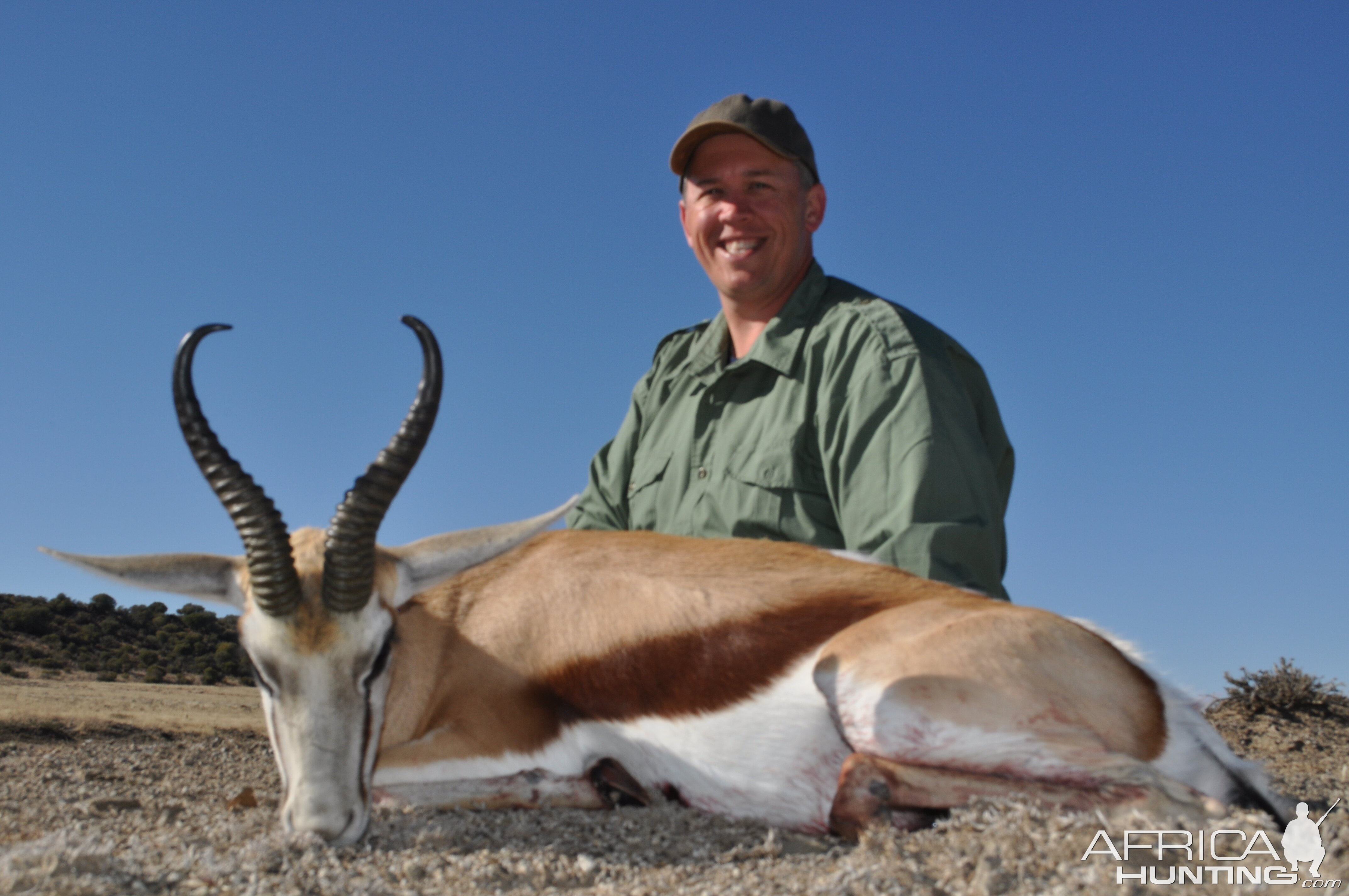 My Springbok with White Lion Safaris