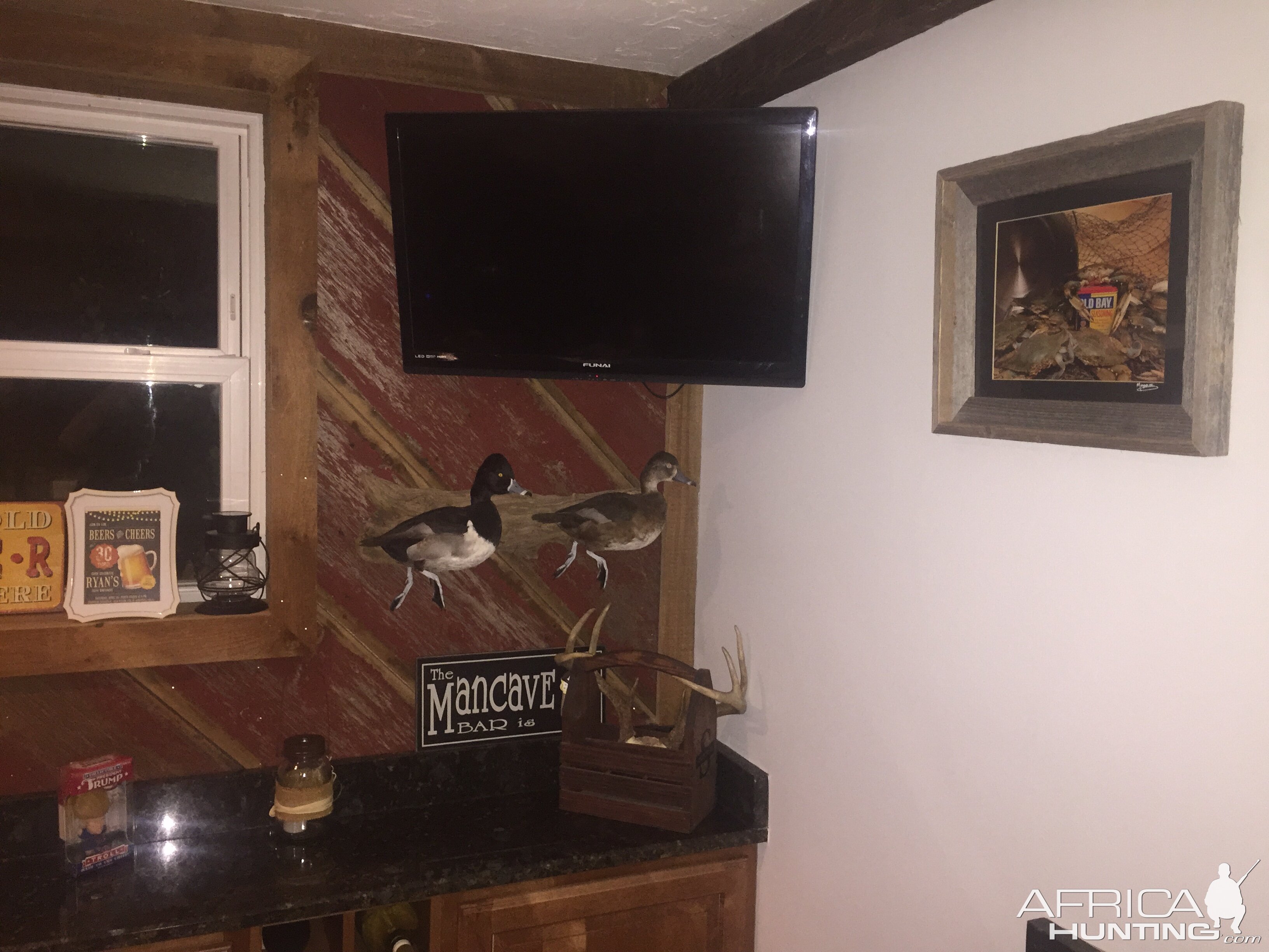 My trophy/mancave/bar room