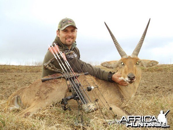 My Trophy Reedbuck Ram