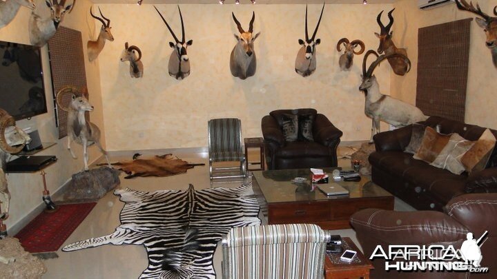 My trophy room