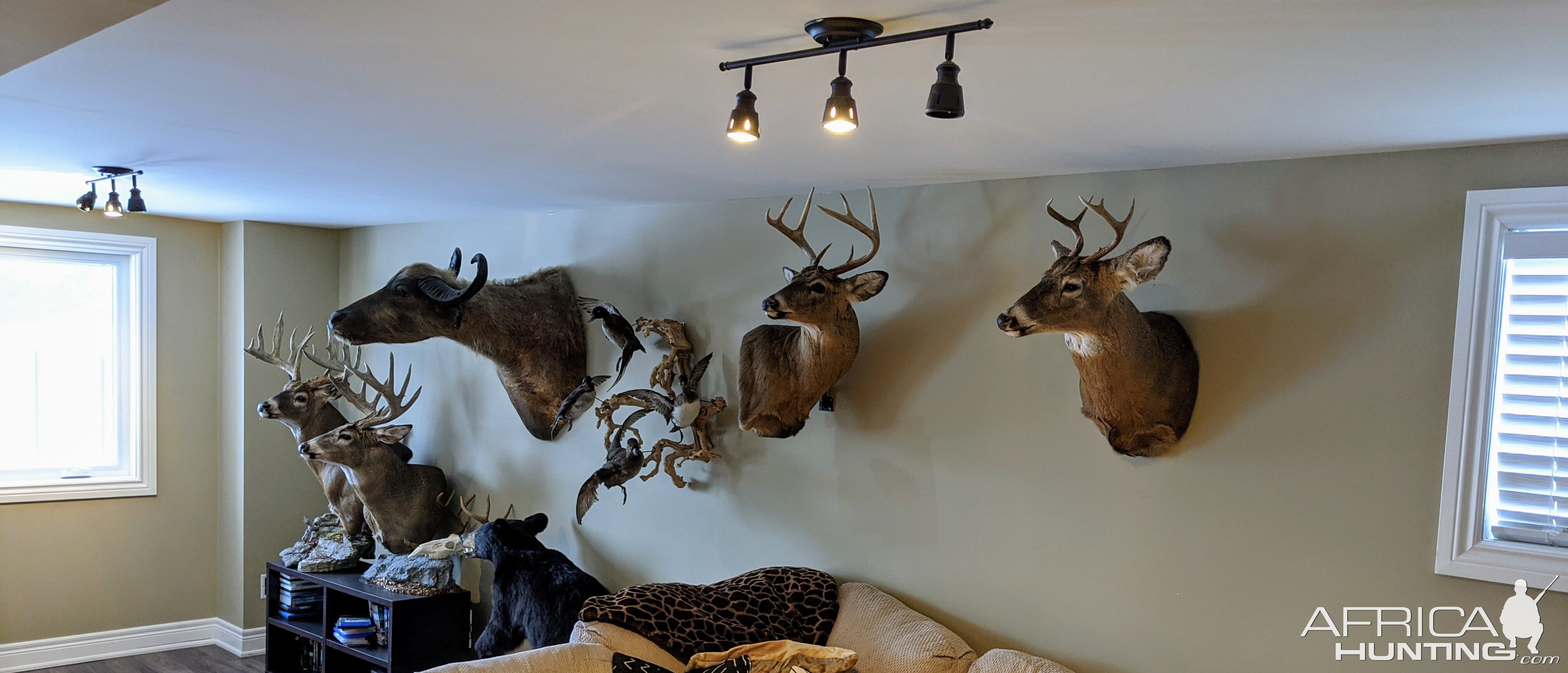 My Trophy Room