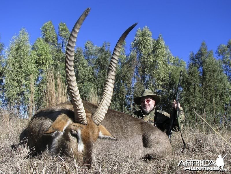 My Waterbuck shot near Potchefstroom