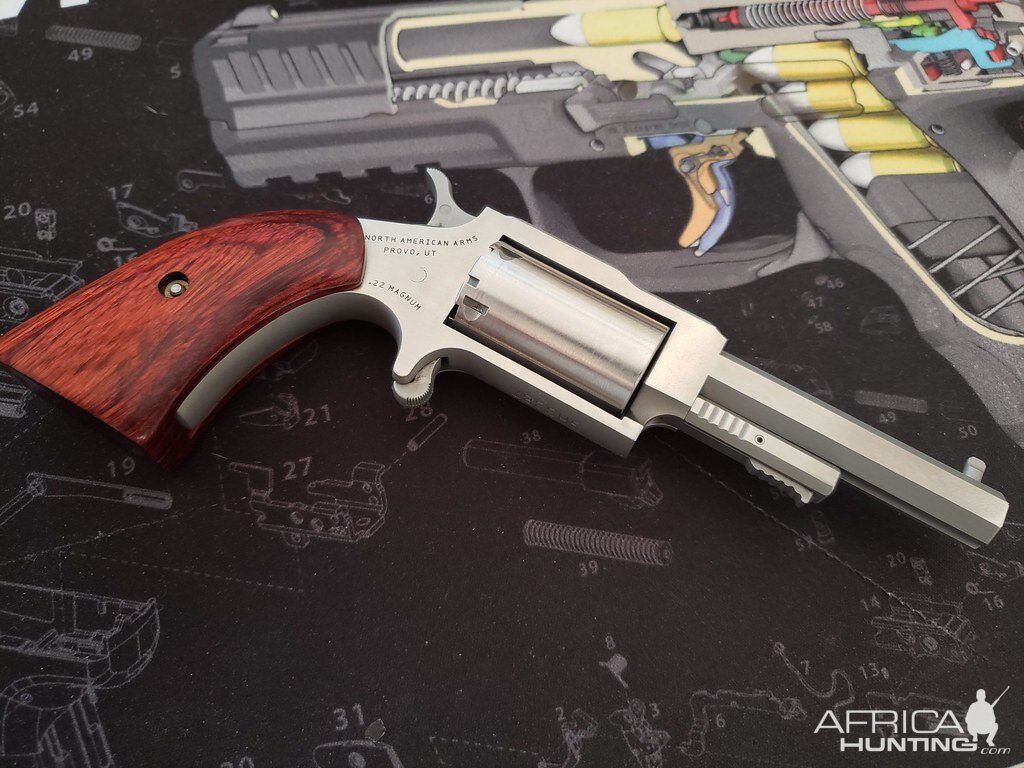 NAA Sheriff 22 Magnum Revolver