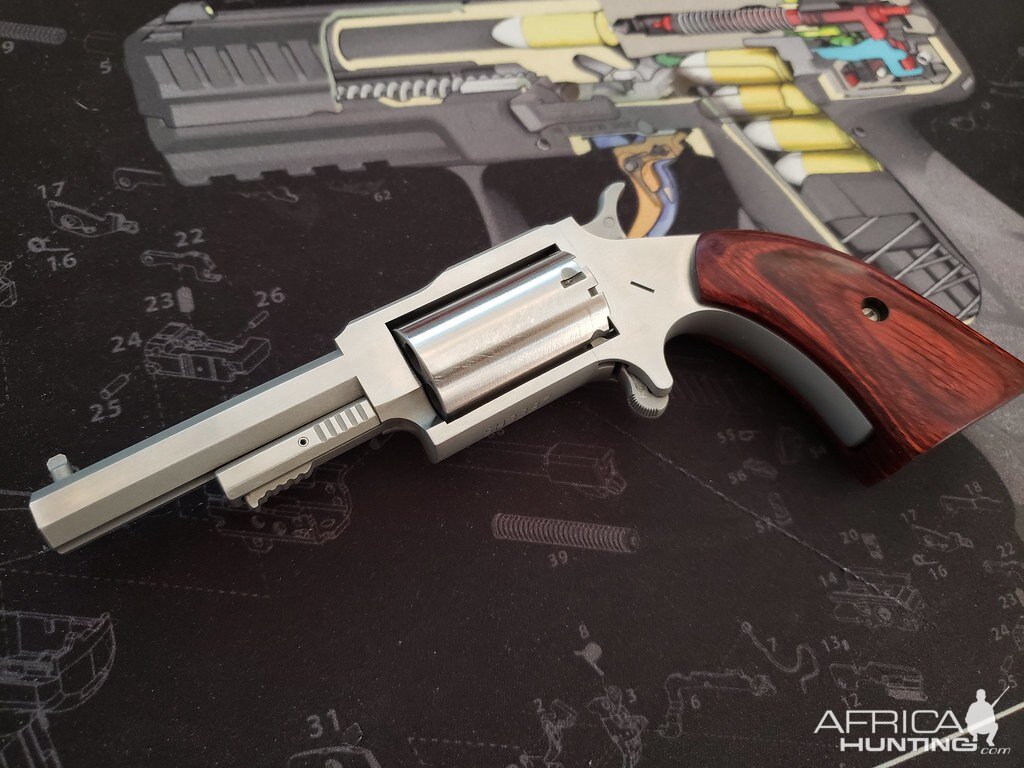 NAA Sheriff 22 Magnum Revolver