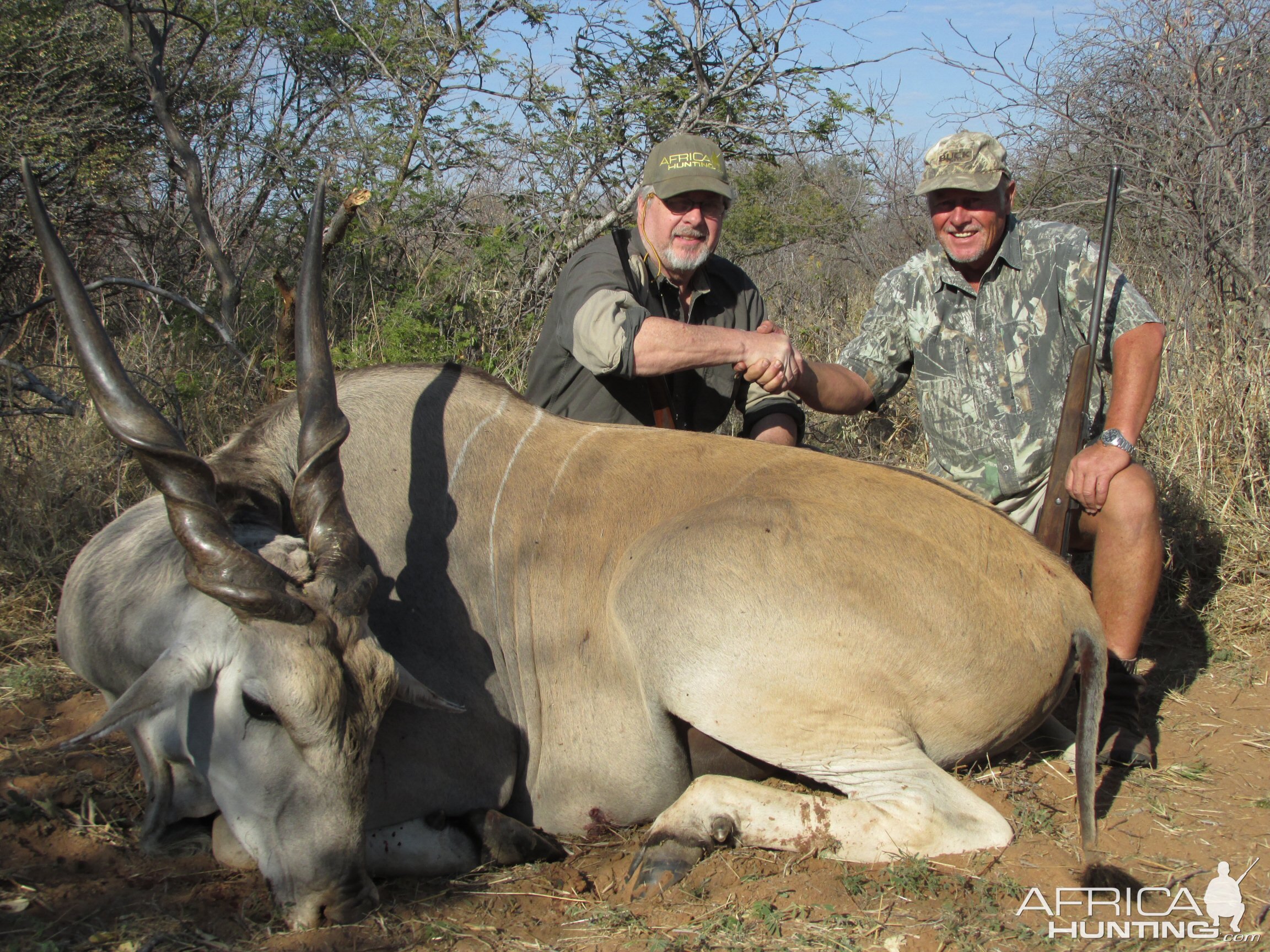 Nambia Hunting Livingstone Eland