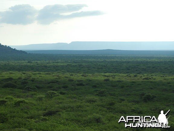 Nambia Landscape