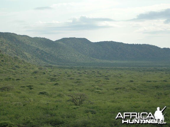 Nambia Landscape