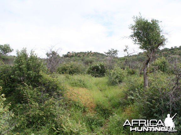 Nambia Landscape