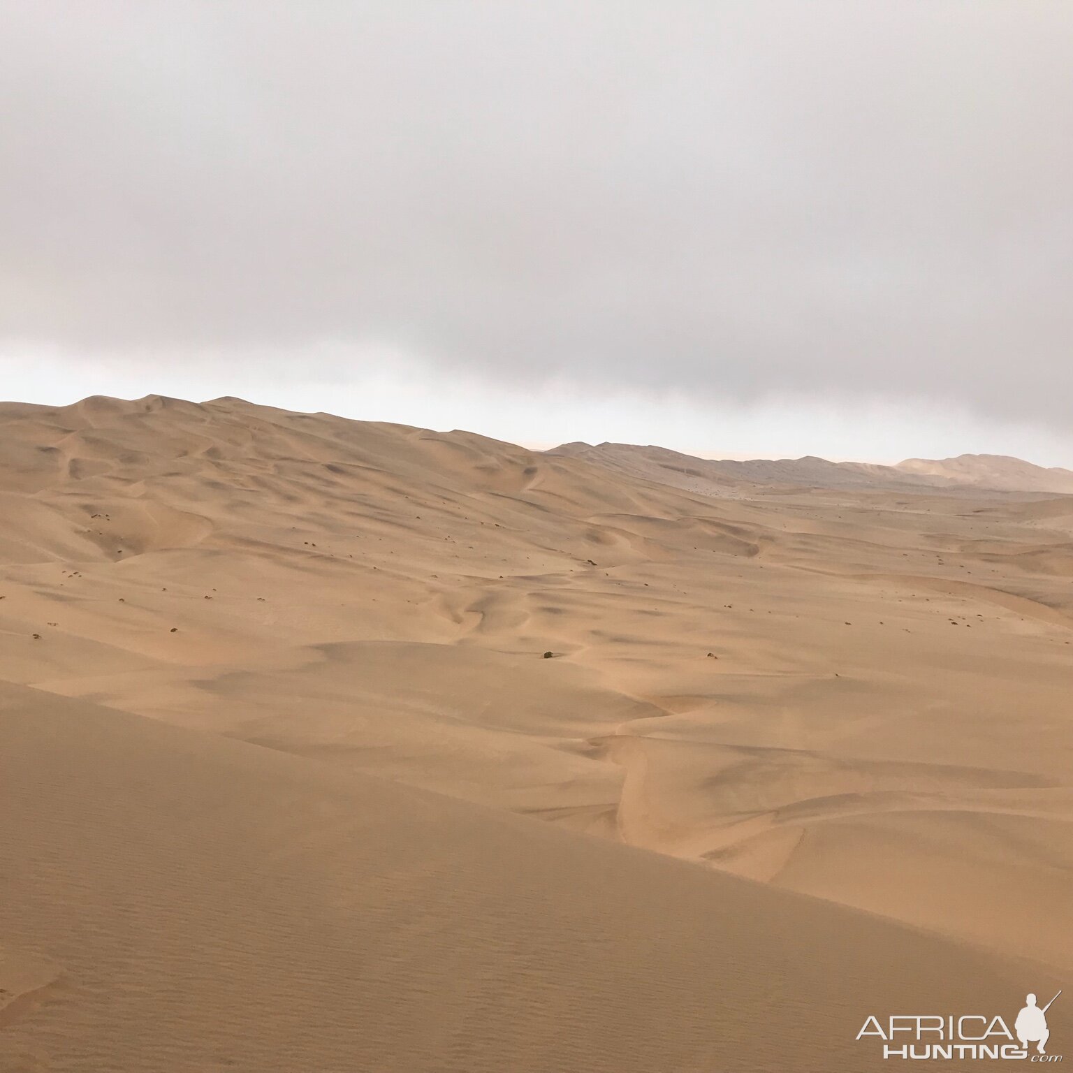 Namib Desert Namibia