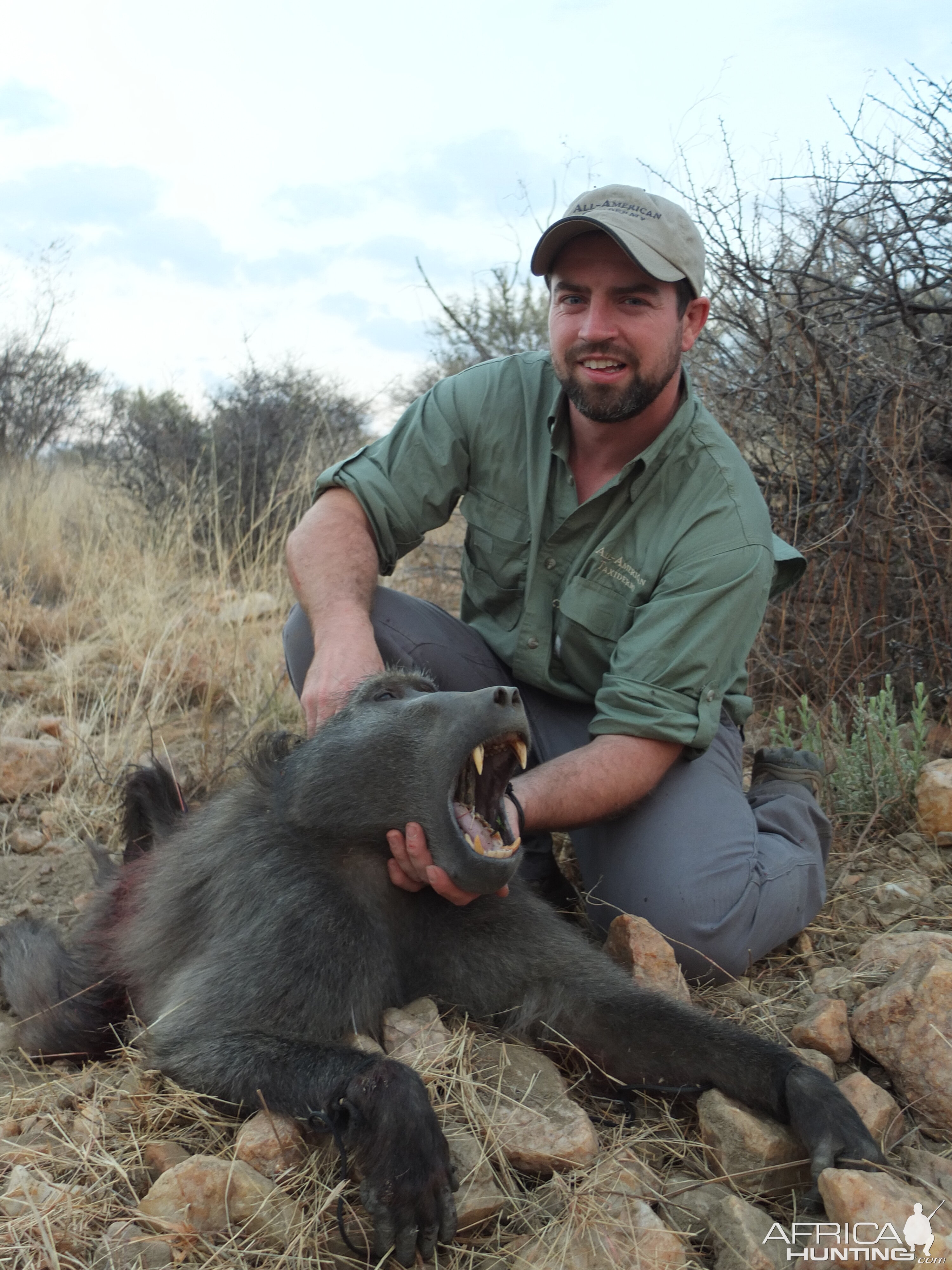 Namibia 2012  Baboon