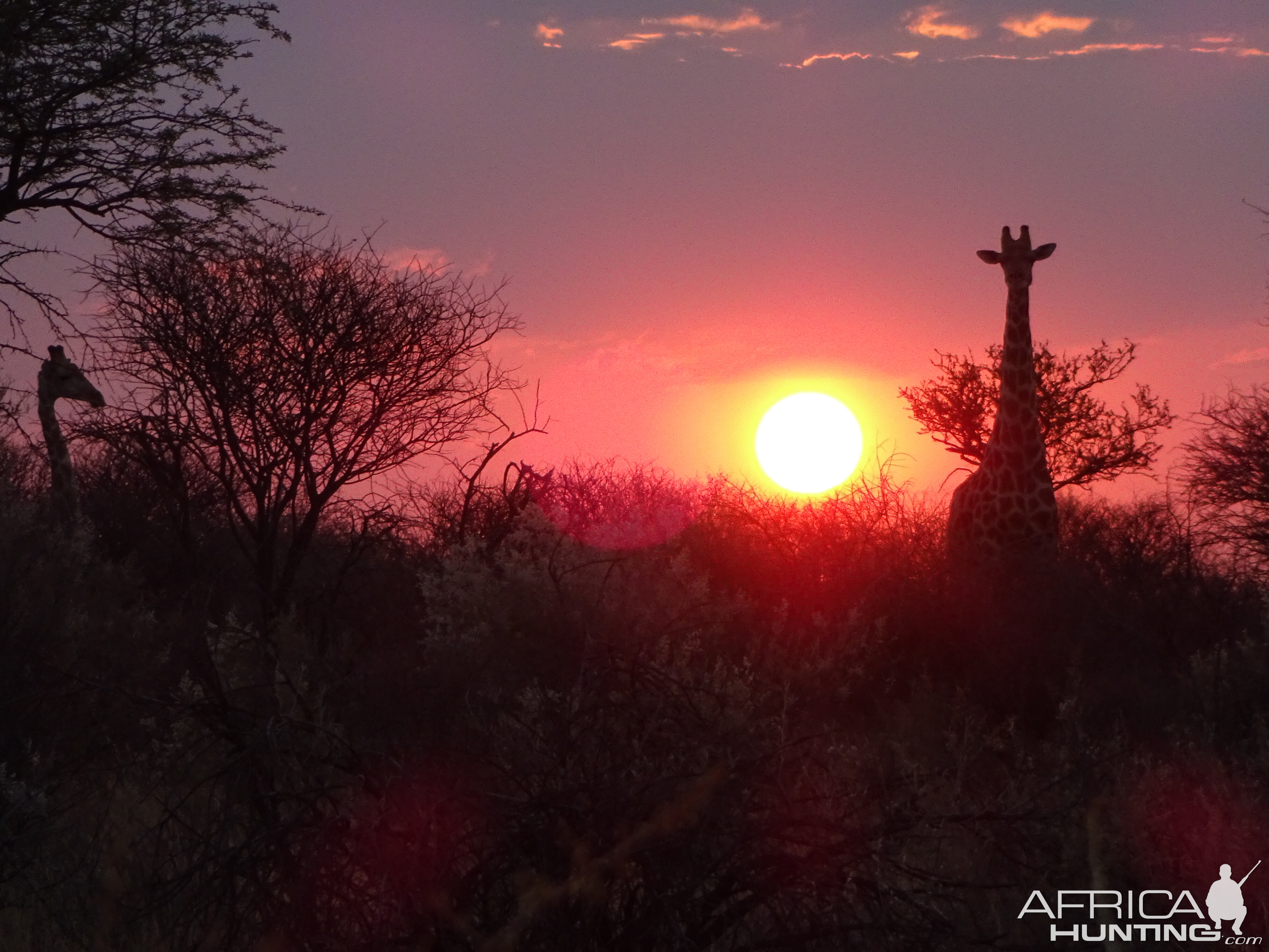 Namibia 2016