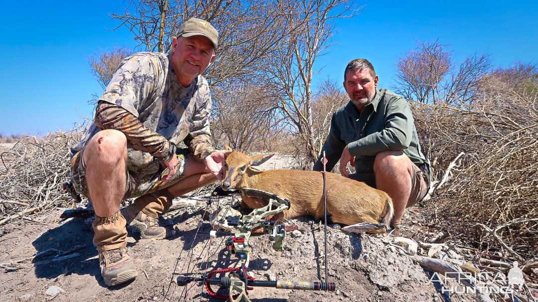 Namibia Bow Hunt Duiker