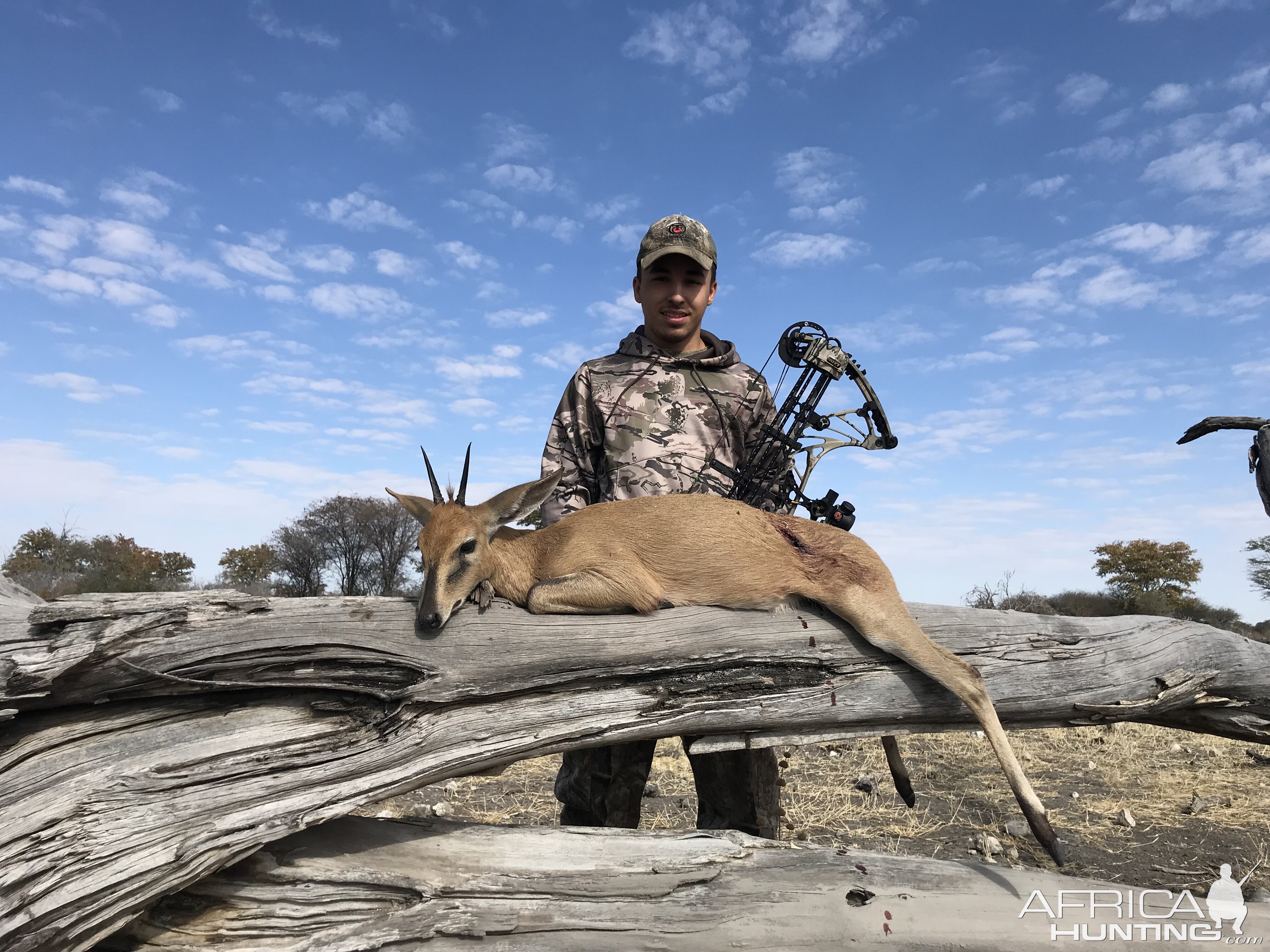 Namibia Bow Hunting Duiker