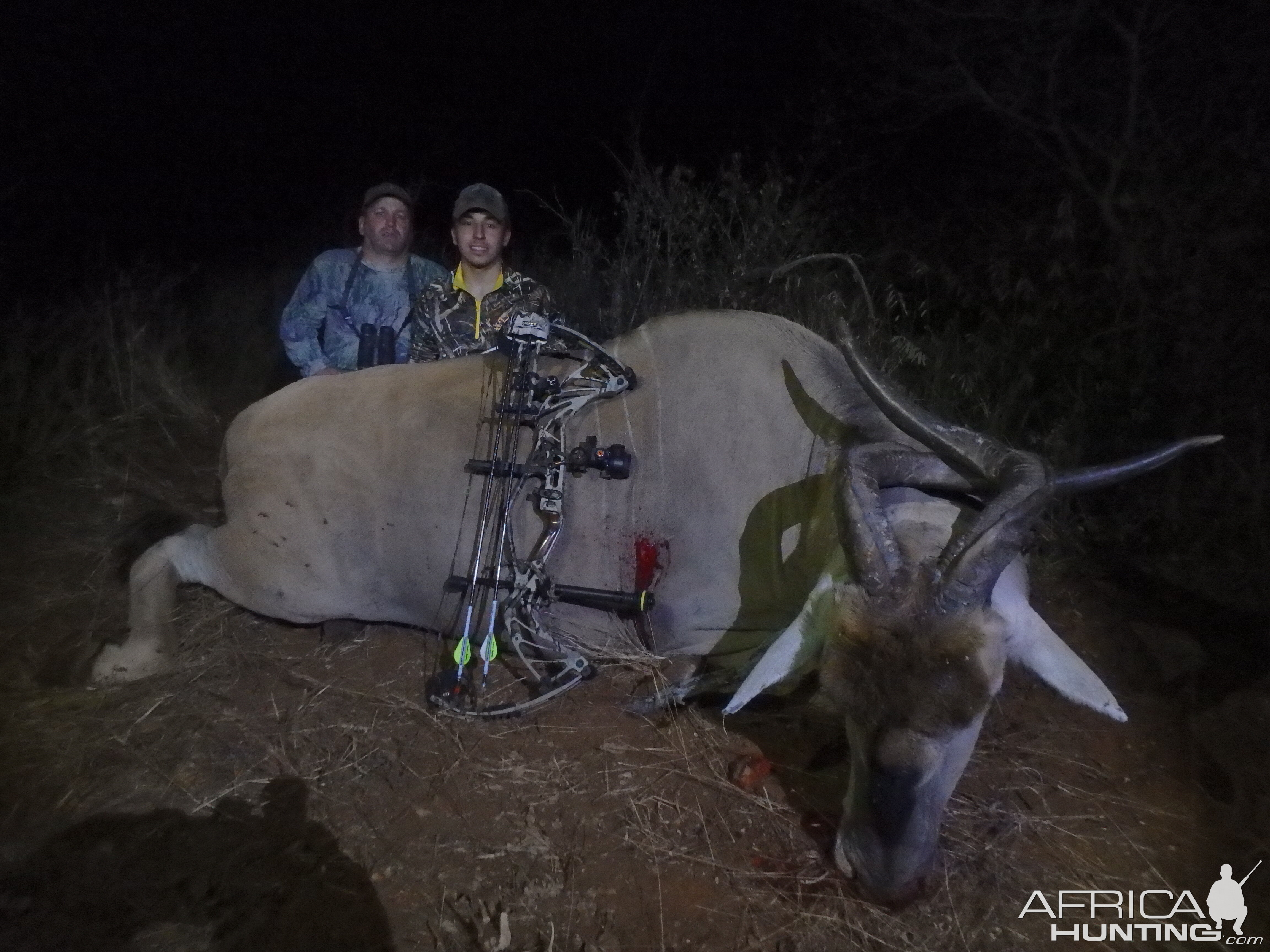 Namibia Bow Hunting Livingstone Eland