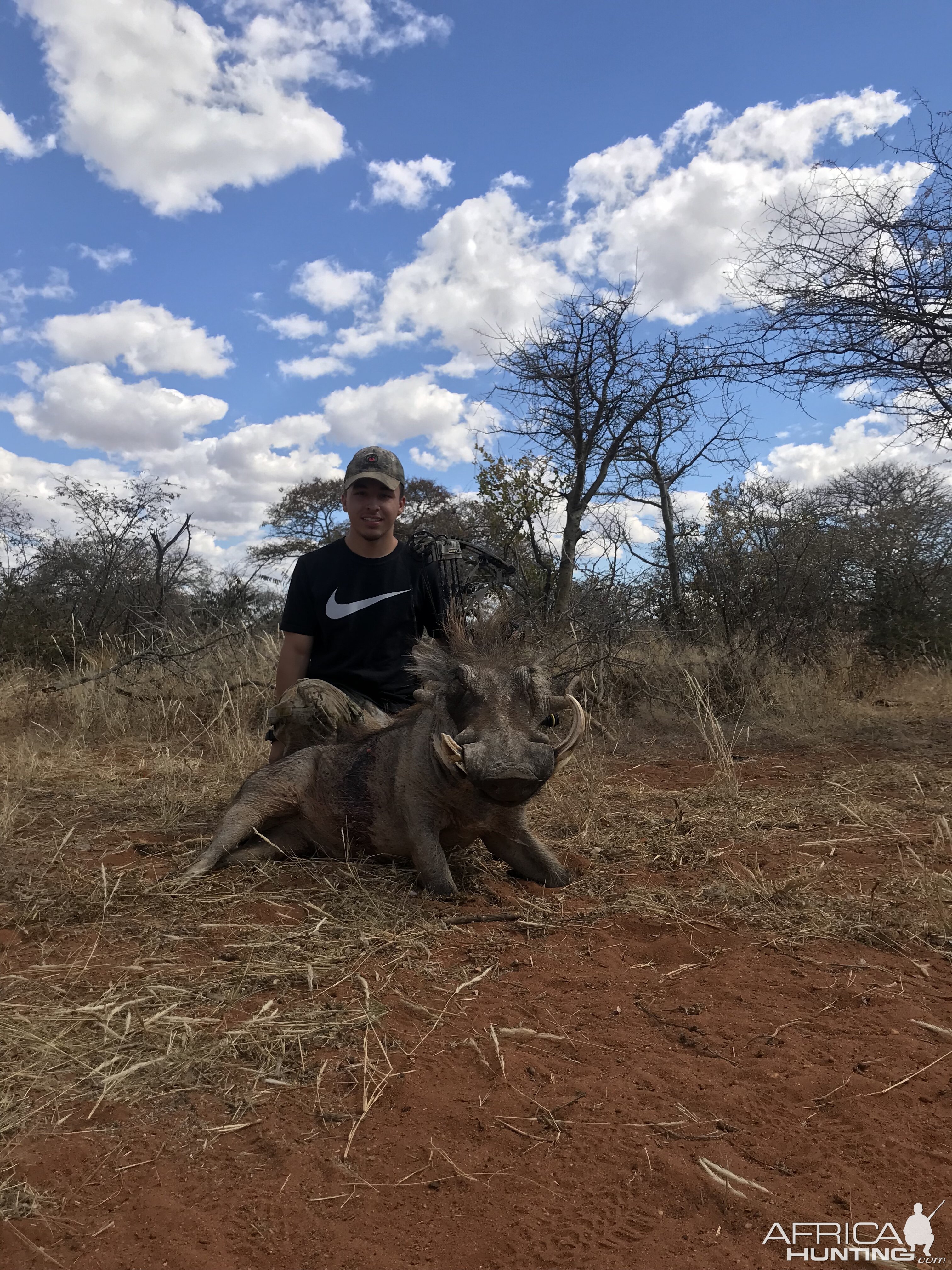 Namibia Bow Hunting Warthog