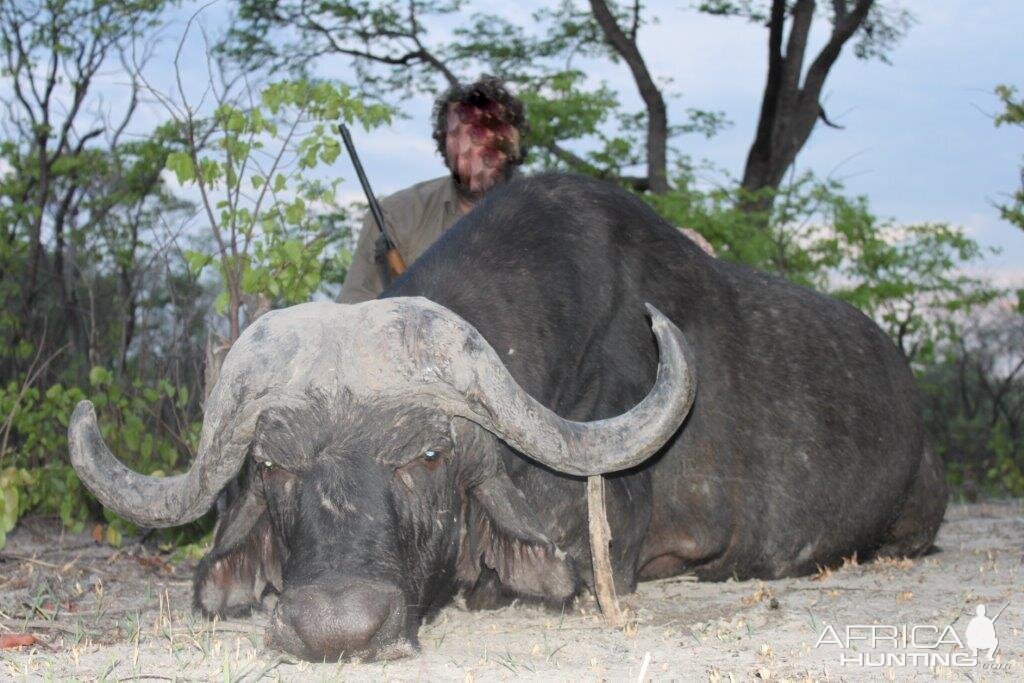 Namibia Buffalo Hunting