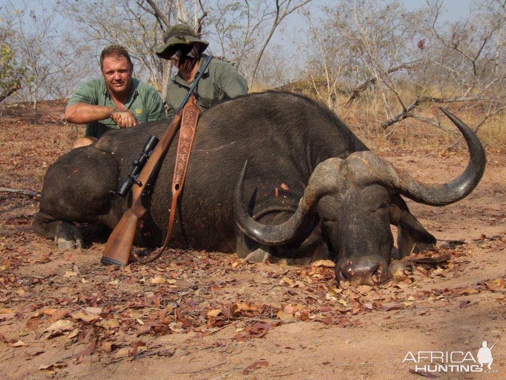 Namibia Buffalo Hunting