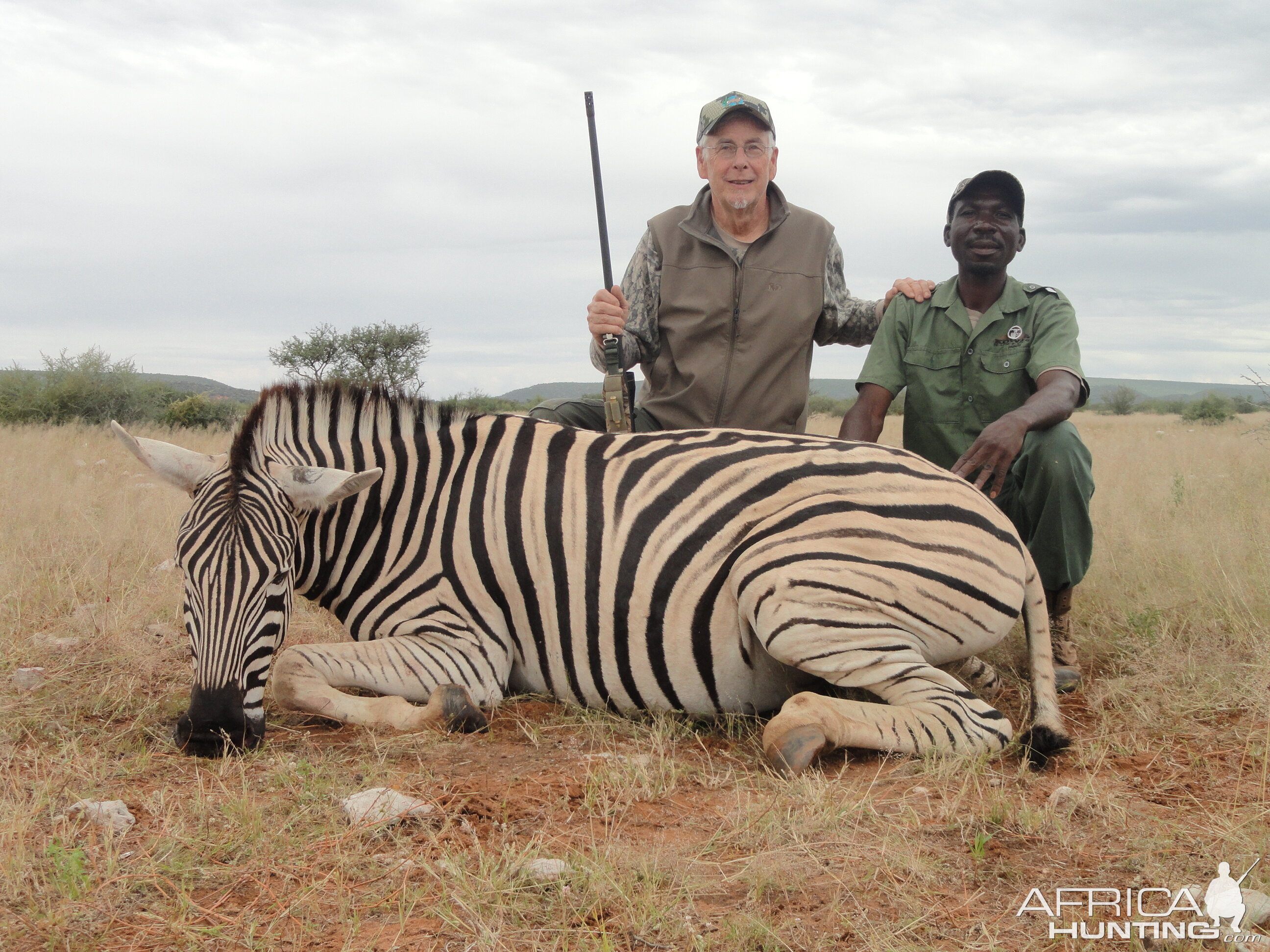 Namibia Burchell's Plain Zebra Hunt