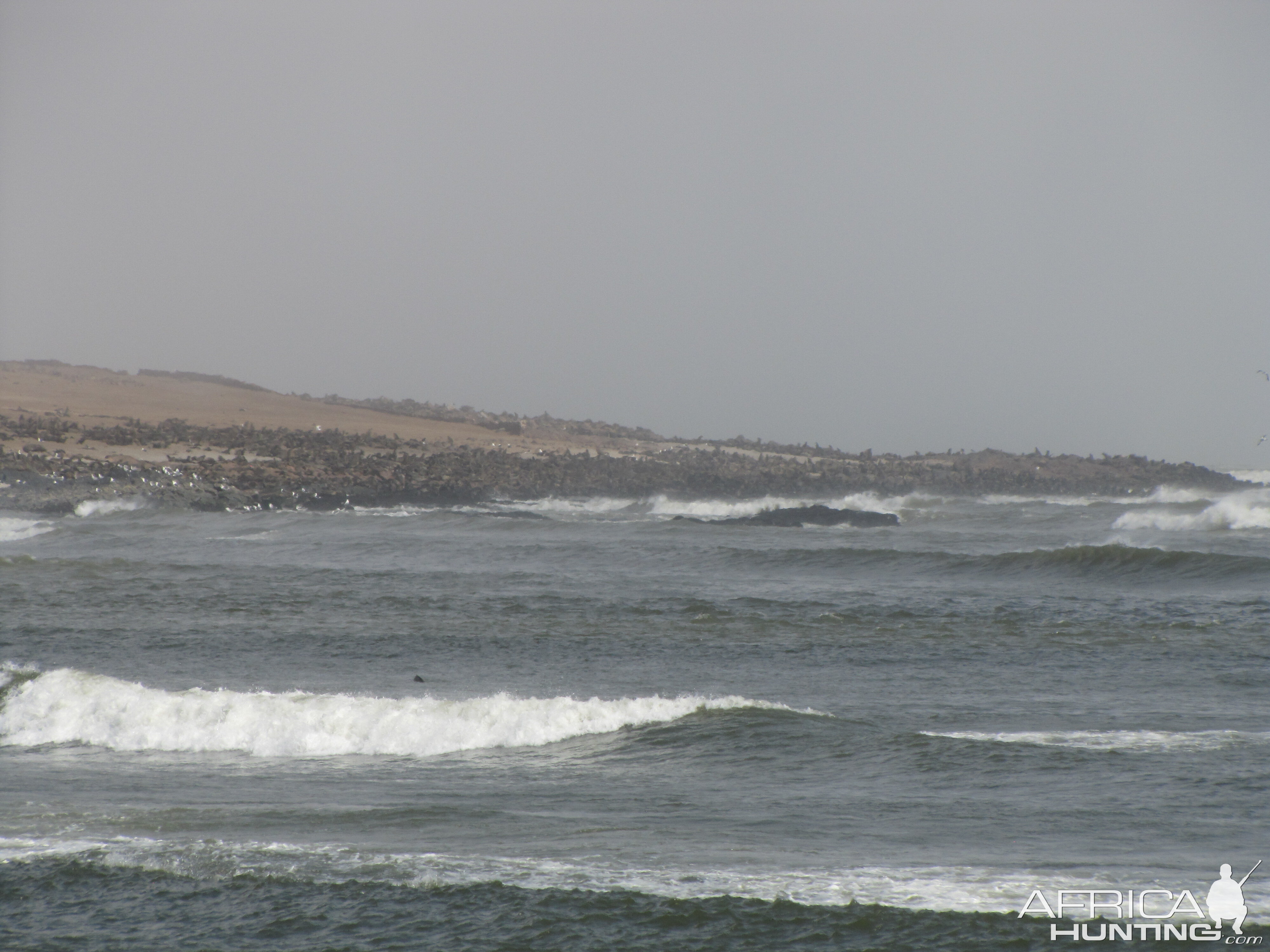 Namibia Cape Cross Seal Colony