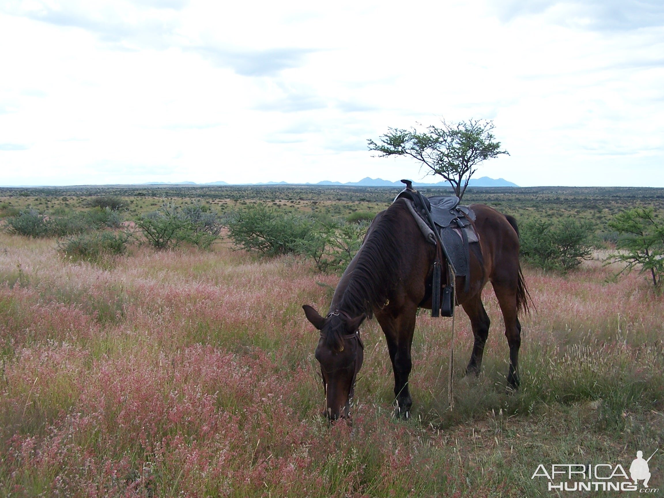 Namibia Horse riding