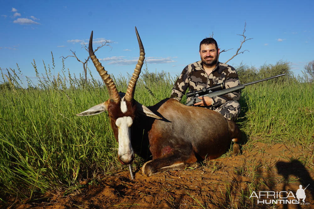 Namibia Hunt Blesbok