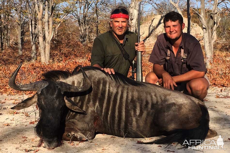 Namibia Hunt Blue Wildebeest