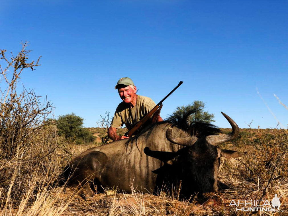 Namibia Hunt Blue Wildebeest