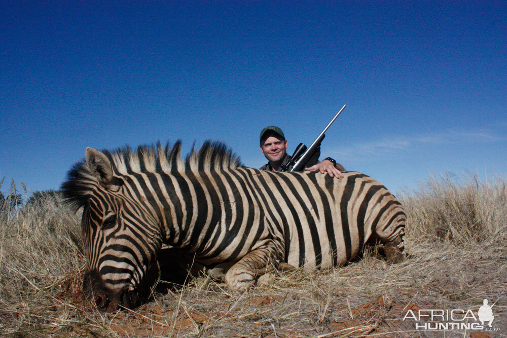 Namibia Hunt Burchell's Plain Zebra