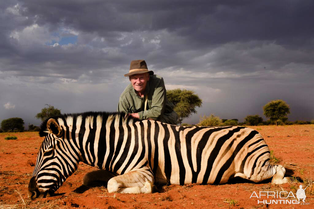 Namibia Hunt Burchell's Plain Zebra