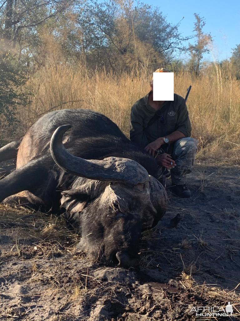 Namibia Hunt Cape Buffalo