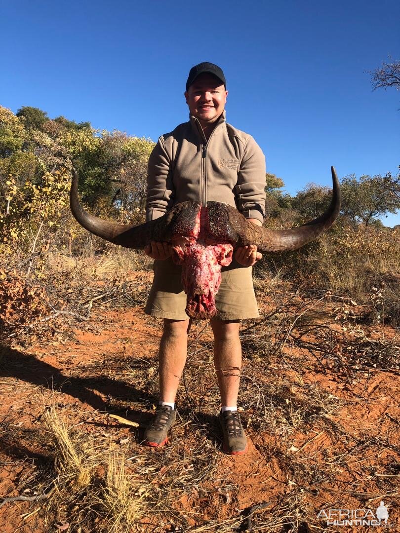 Namibia Hunt Cape Buffalo