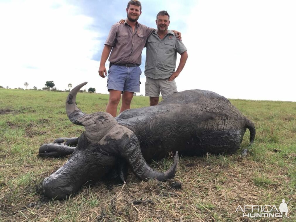 Namibia Hunt Cape Buffalo