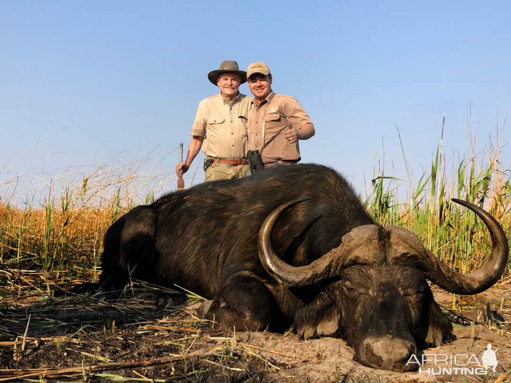 Namibia Hunt Cape Buffalo